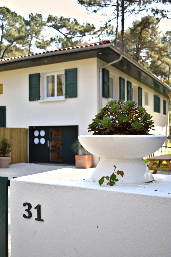 Julia Blue, Villa Hostal Naou Hossegor - Sauna - Salle De Sport - Wifi - Netflix Soorts-Hossegor Bagian luar foto